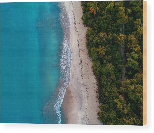 Sea Wood Print featuring the photograph Virgin Islands #1 by Songquan Deng