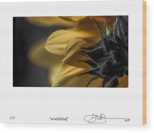 Signed Limited Edition Of 10 Wood Print featuring the digital art 17 by Jerald Blackstock