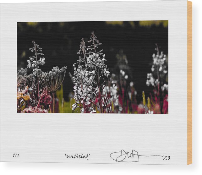 Signed Limited Edition Of 10 Wood Print featuring the digital art 18 by Jerald Blackstock