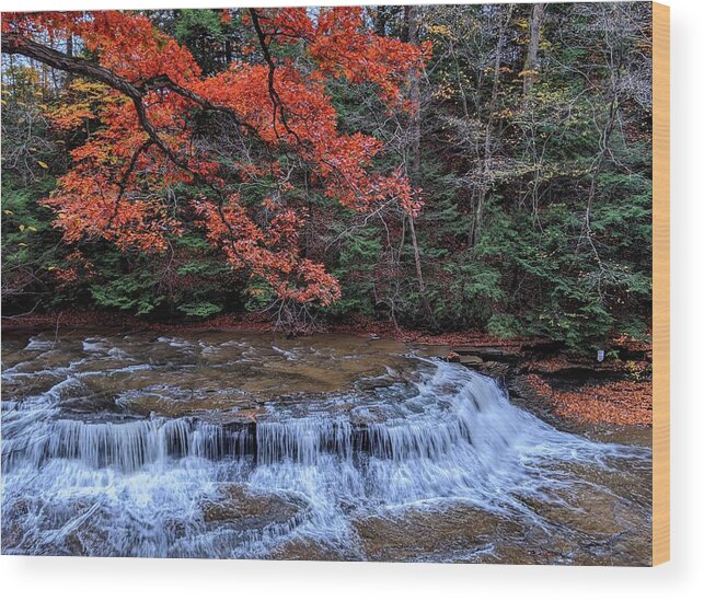 South Chagrin Reservation Wood Print featuring the photograph Quarry Rock Falls in the Fall by Brad Nellis