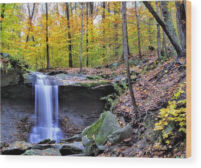  Wood Print featuring the photograph Blue Hen Falls by Brad Nellis