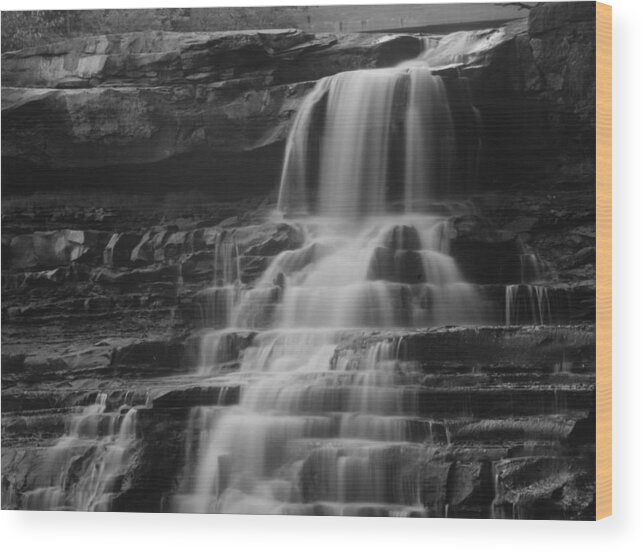  Wood Print featuring the photograph Brandywine Falls by Brad Nellis