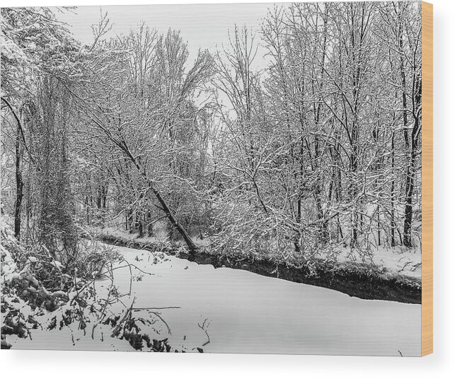 Winter Wood Print featuring the photograph Trees in Winter's Snow #4 by Alan Goldberg