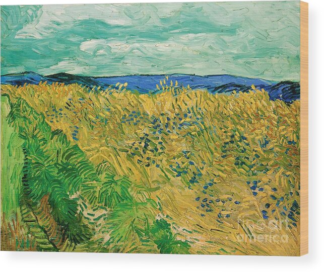 European Wood Print featuring the painting Wheatfield With Cornflowers #8 by Vincent van Gogh