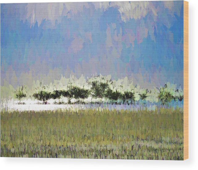 Modern Abstract Art Wood Print featuring the mixed media Abstract Painted Beach Scene by Joan Stratton