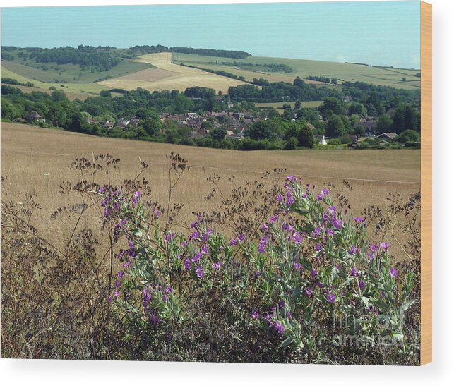 Alfriston Wood Print featuring the photograph Alfriston from the South Downs by Phil Banks