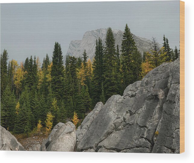 Autumn Wood Print featuring the photograph Autumn in the Canadian Rockies by Phil And Karen Rispin