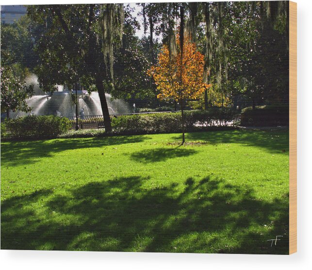 Forsyth Park Wood Print featuring the photograph Autumn in the Park by Theresa Fairchild