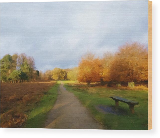 Park Wood Print featuring the photograph Autumn Seat by Abbie Shores