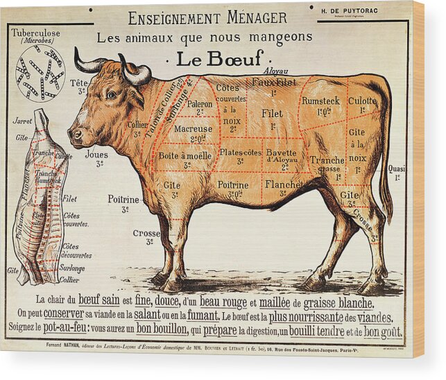 Le Boeuf; Cow; Cut; Joint; Food; Animal; Butchering Wood Print featuring the drawing Beef by French School