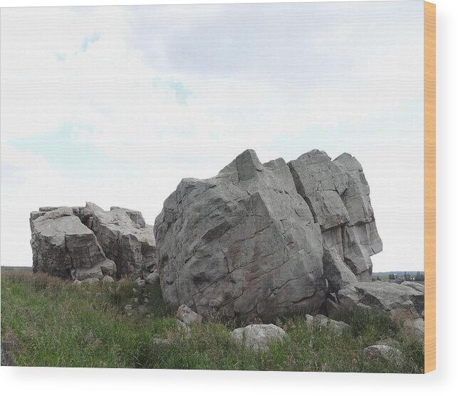 Glacial Erratic Wood Print featuring the photograph Big Rock 1 by Lisa Mutch