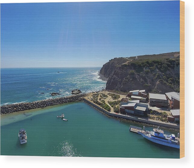 Sea Wood Print featuring the photograph Boats in the Harbor at Dana Point by Marcus Jones