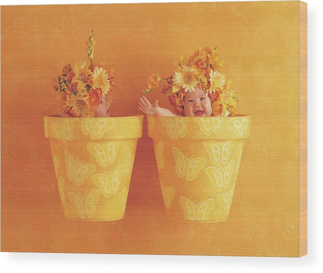 Color Wood Print featuring the photograph Butterfly Flowerpots by Anne Geddes