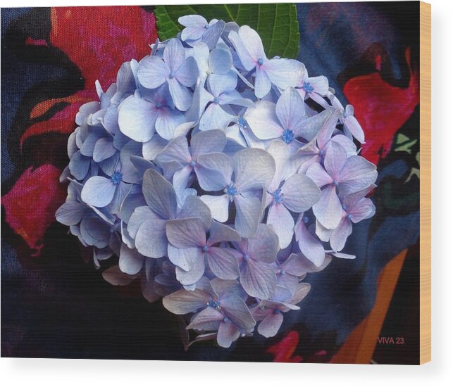 Hydrangea Wood Print featuring the photograph Carolyn's Hydrangea Blue by VIVA Anderson