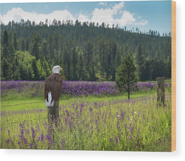 Eagle Wood Print featuring the photograph Eagle on Fence Post by Patti Deters