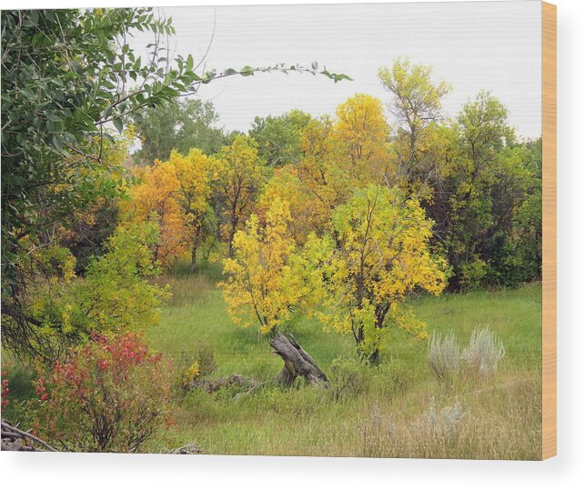 Fall Wood Print featuring the photograph Eastern Montana Autumn by Katie Keenan