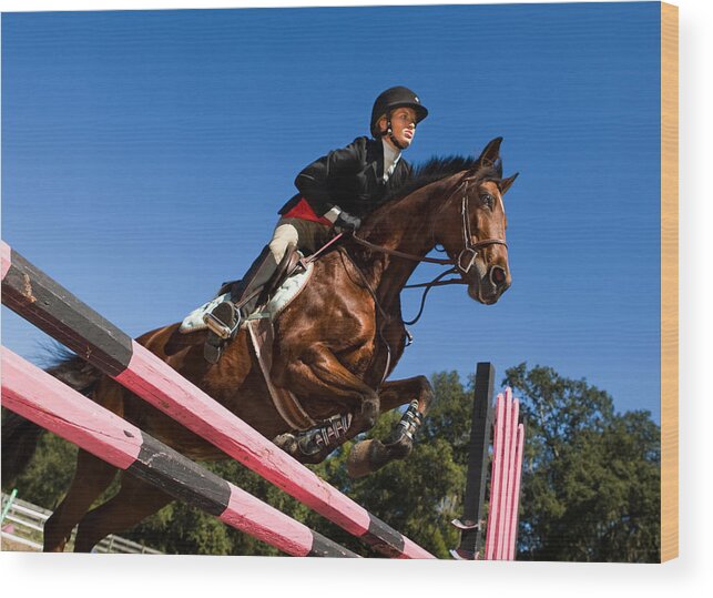 Horse Wood Print featuring the photograph Equestrian show jumping by Nycshooter