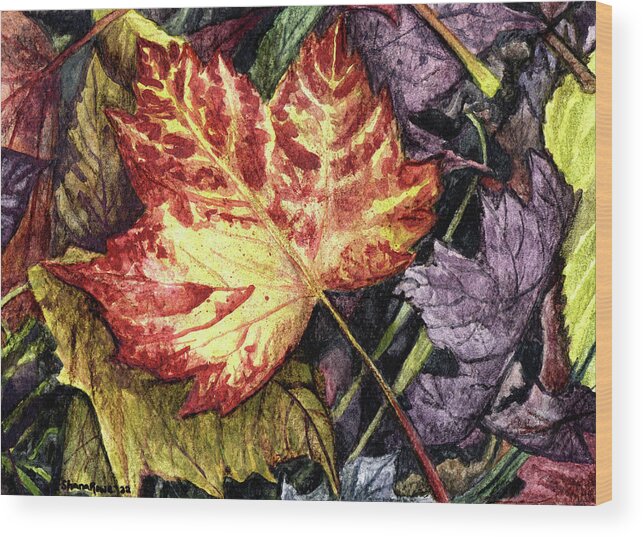 Leaf Wood Print featuring the drawing Fading Beauty by Shana Rowe Jackson