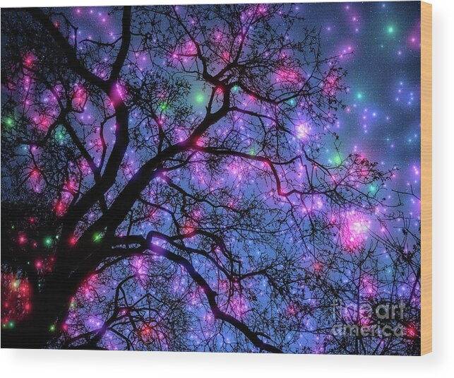 Night Wood Print featuring the photograph Fantastic Starry Night by Mimi Ditchie