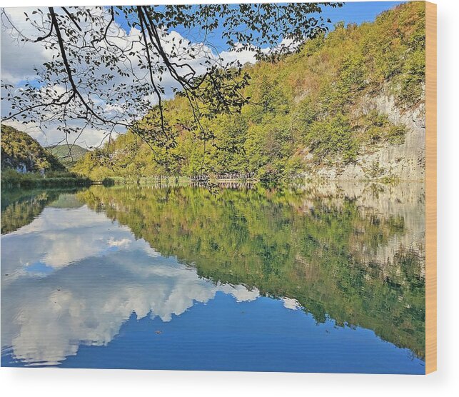 Plitvice Lakes Wood Print featuring the photograph Floating forest by Yvonne Jasinski