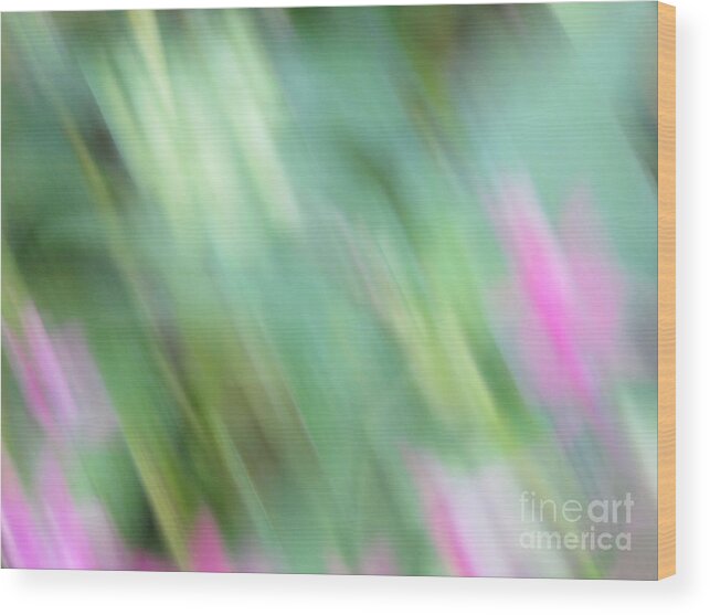 Abstractism Wood Print featuring the photograph Flower Abstract by World Reflections By Sharon
