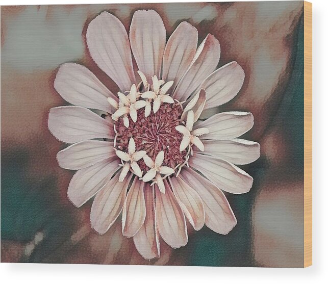 Muted Wood Print featuring the photograph Flower Power Vintage by Debbie Karnes