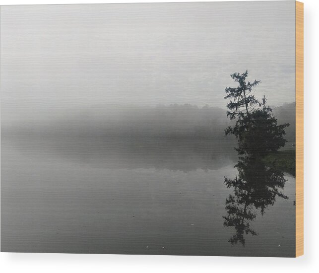  Wood Print featuring the photograph Foggy Morning Tree by Brad Nellis