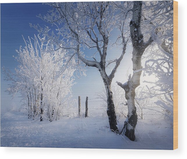 Landscape Wood Print featuring the photograph Fresh Air by Dan Jurak