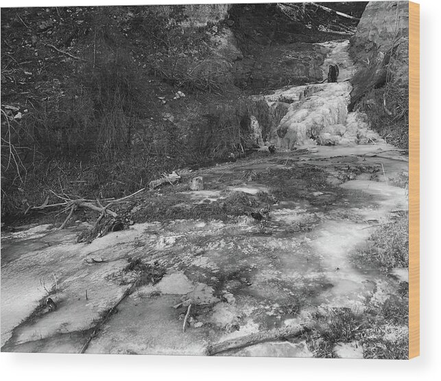 Photography Wood Print featuring the photograph Frozen Waterfall, Lincoln National Forest, New Mexico by Richard Porter