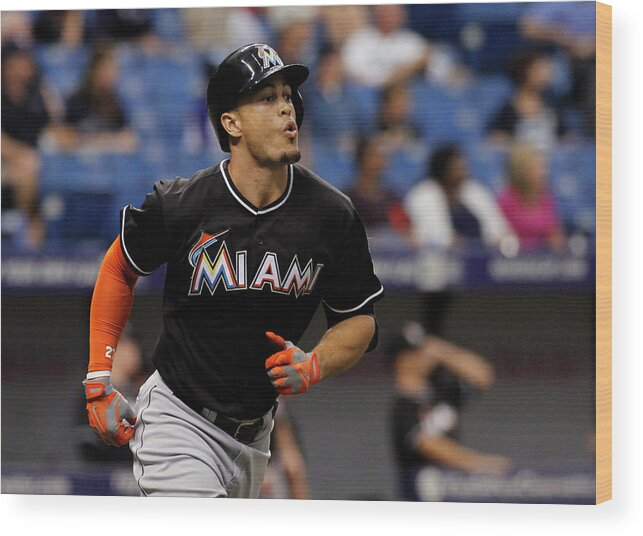 American League Baseball Wood Print featuring the photograph Giancarlo Stanton by Brian Blanco