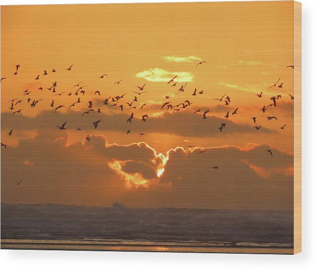 Going For The Gold Wood Print featuring the photograph Going for the Gold - Newport OR Coastal Sunset - Nature Scenes by Brooks Garten Hauschild