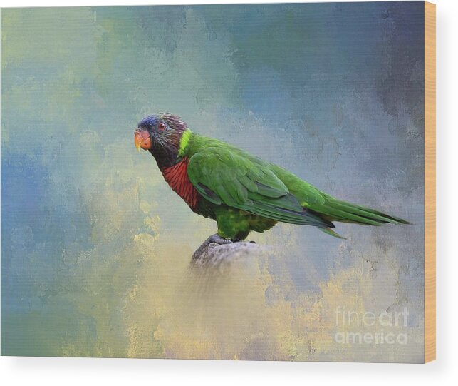 Green Naped Lorikeet Wood Print featuring the photograph Green Naped Lorikeet by Eva Lechner