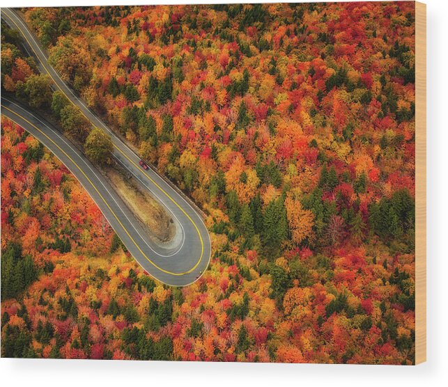New York Wood Print featuring the photograph Hairpin Turn NY by Susan Candelario
