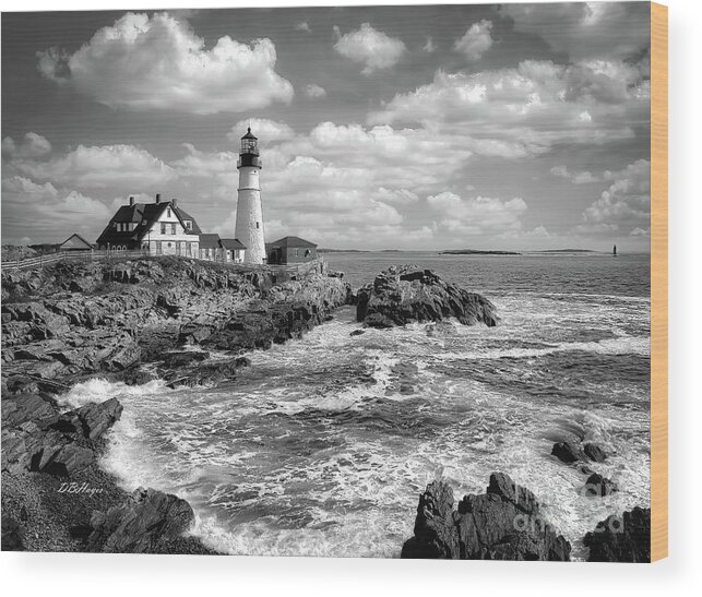 Lighthouses Wood Print featuring the photograph Head Light of Portland in B-W by DB Hayes