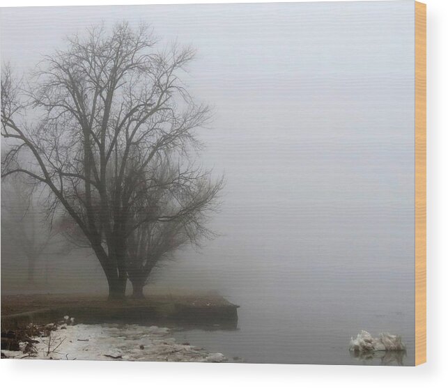 Fog Wood Print featuring the photograph Ice and Fog on the Delaware River by Linda Stern