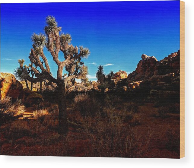 Joshua Tree Wood Print featuring the photograph Joshua Tree by Dave Zumsteg