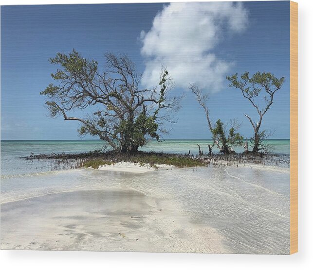 Key West Florida Waters Wood Print featuring the photograph Key West Waters by Ashley Turner