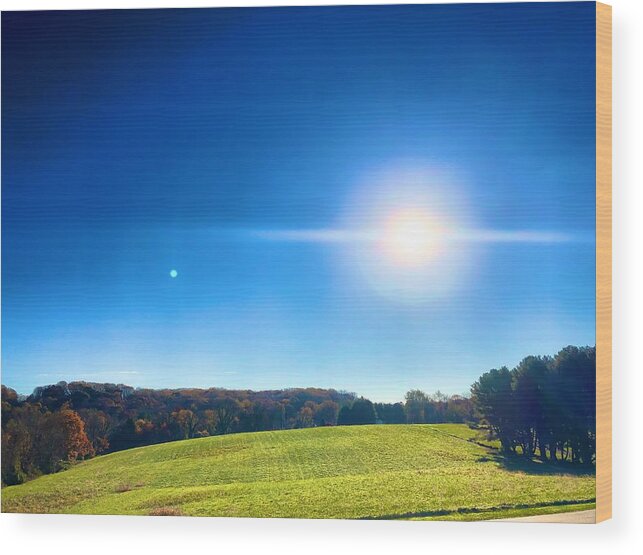 Pasture Wood Print featuring the photograph Kingsville Pasture by Chris Montcalmo