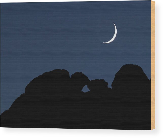 Moon Wood Print featuring the photograph Kissing Camels Moonset by Bob Falcone
