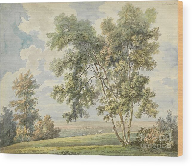  Wood Print featuring the photograph Landscape with Trees and Sheep by Science Source