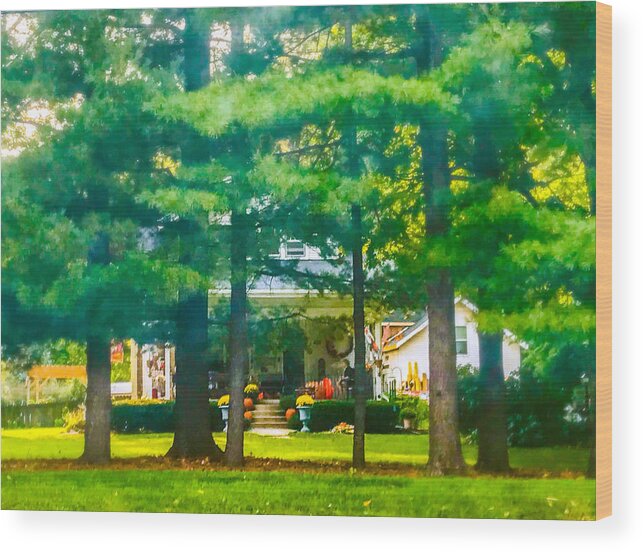 Midwest Wood Print featuring the photograph Midwest Autumn Afternoon by Eileen Backman