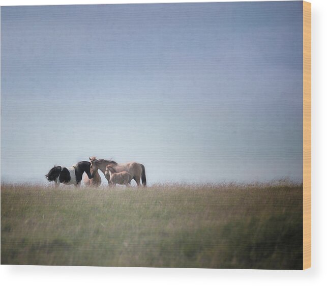 Horse Wood Print featuring the photograph Mothers Meeting - Horse Art by Lisa Saint