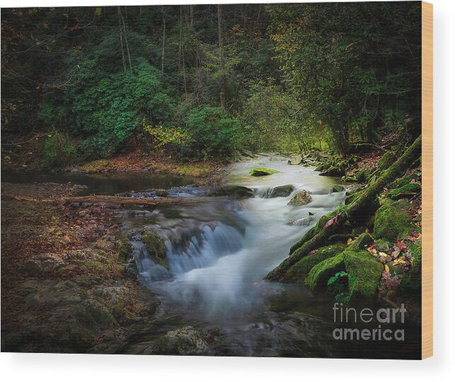 Paint Creek Wood Print featuring the photograph Paint Creek by Shelia Hunt