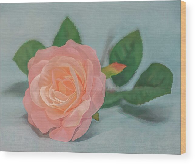 Roses Still Life Wood Print featuring the photograph Peach Rose Glow by Kevin Lane