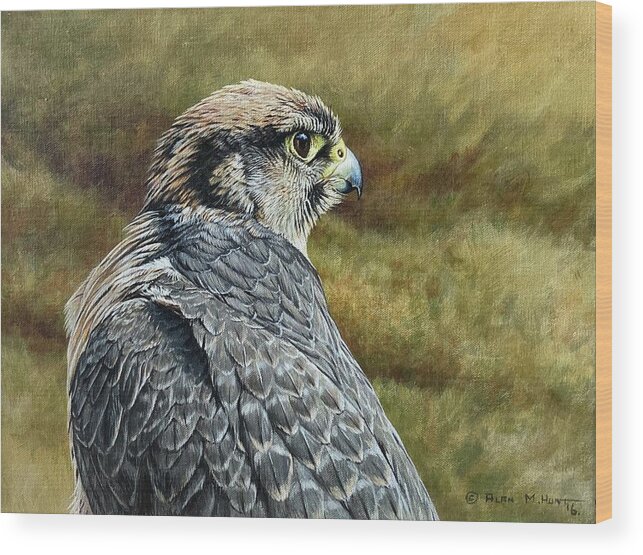Peregrine Wood Print featuring the painting Peregrine Falcon Study by Alan M Hunt