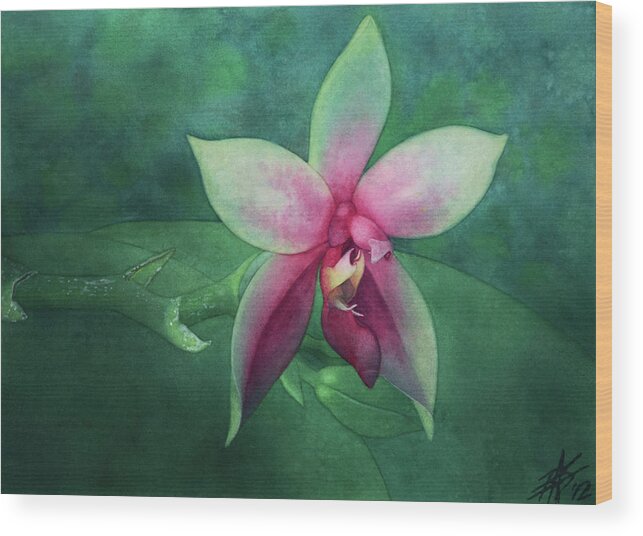 Orchid Wood Print featuring the painting Phalaenopsis bellina by Robin Street-Morris