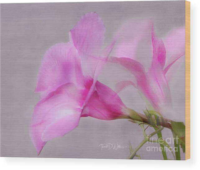 Artistic Wood Print featuring the photograph Pink Dreams by Theresa D Williams