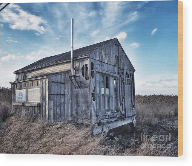Seascape Wood Print featuring the photograph Plum Island Sea Shack by Mary Capriole