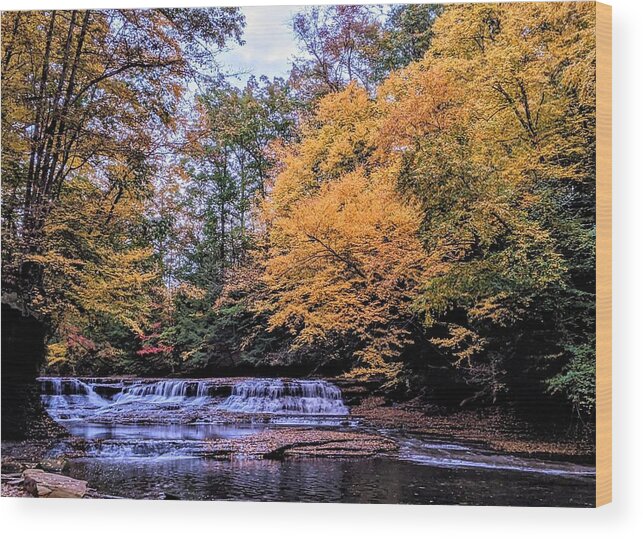 South Chagrin Reservation Wood Print featuring the photograph Quarry Rock Falls by Brad Nellis