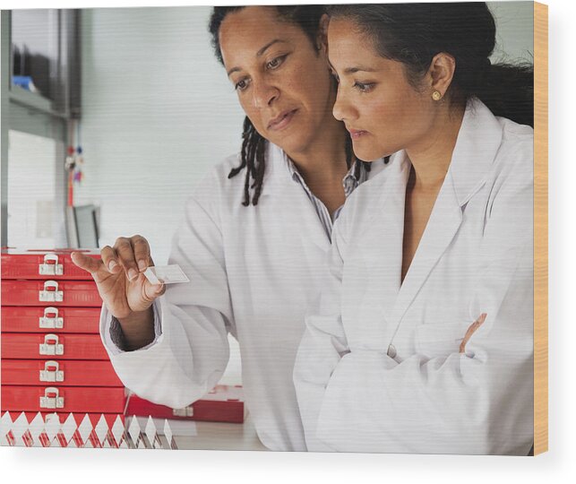 Mid Adult Wood Print featuring the photograph Researchers comparing slides in hematology lab by Ron Levine